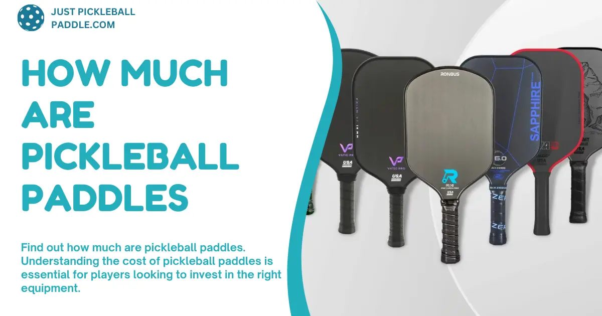 How Much Are Pickleball Paddles